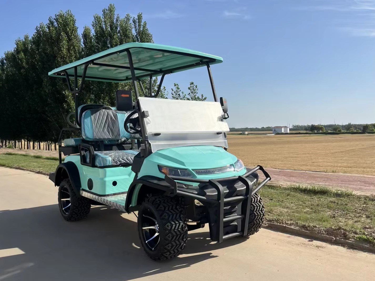 Customizable High Climbing Ability 4 Seater Electric Golf Cart Utility Club Car with All Terrain Tires for Golf Course