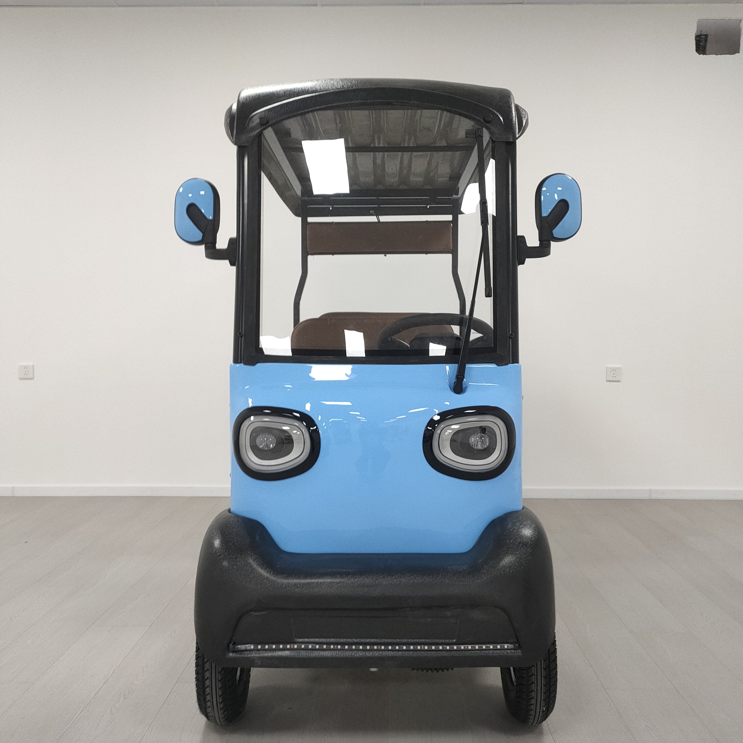 Electric Golf Cart Detail 9