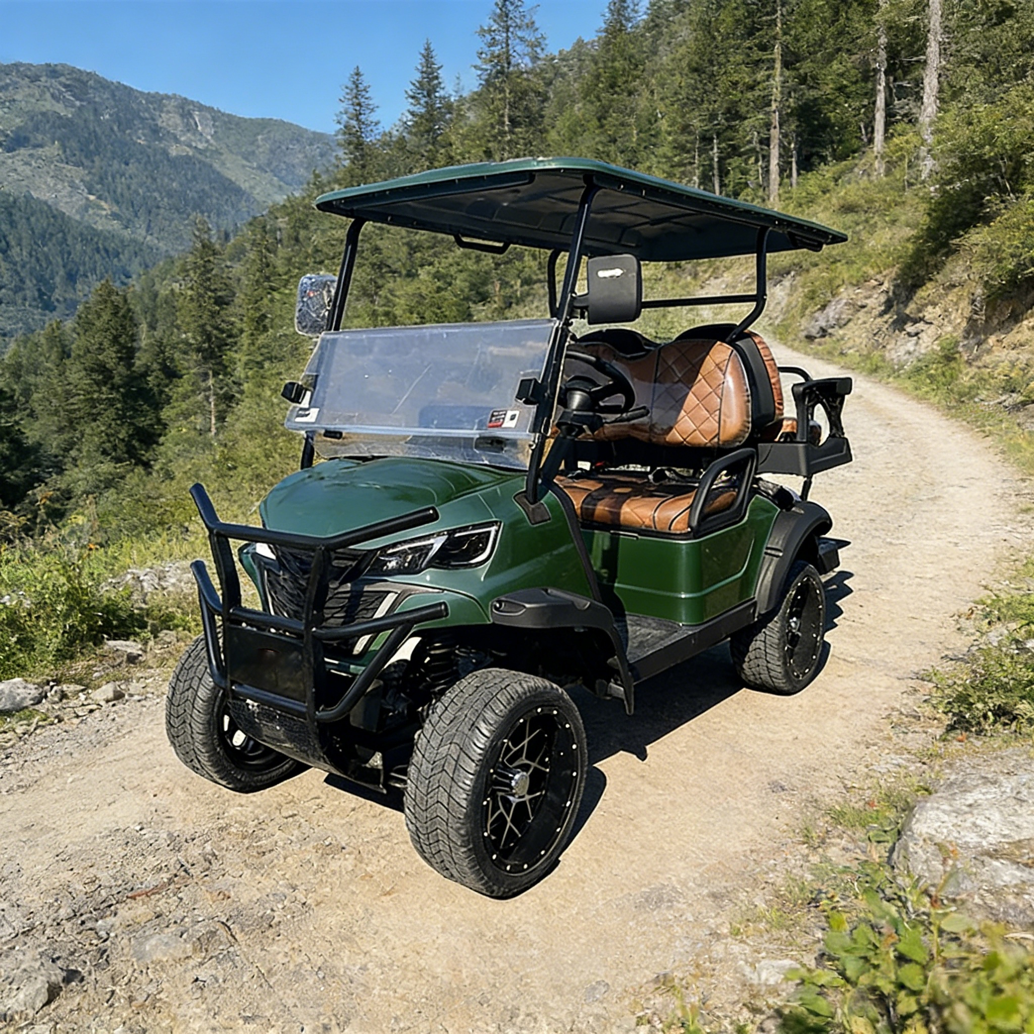 Electric Golf Cart With 250mm Ground Clearance For Street Legal Use And Customizable