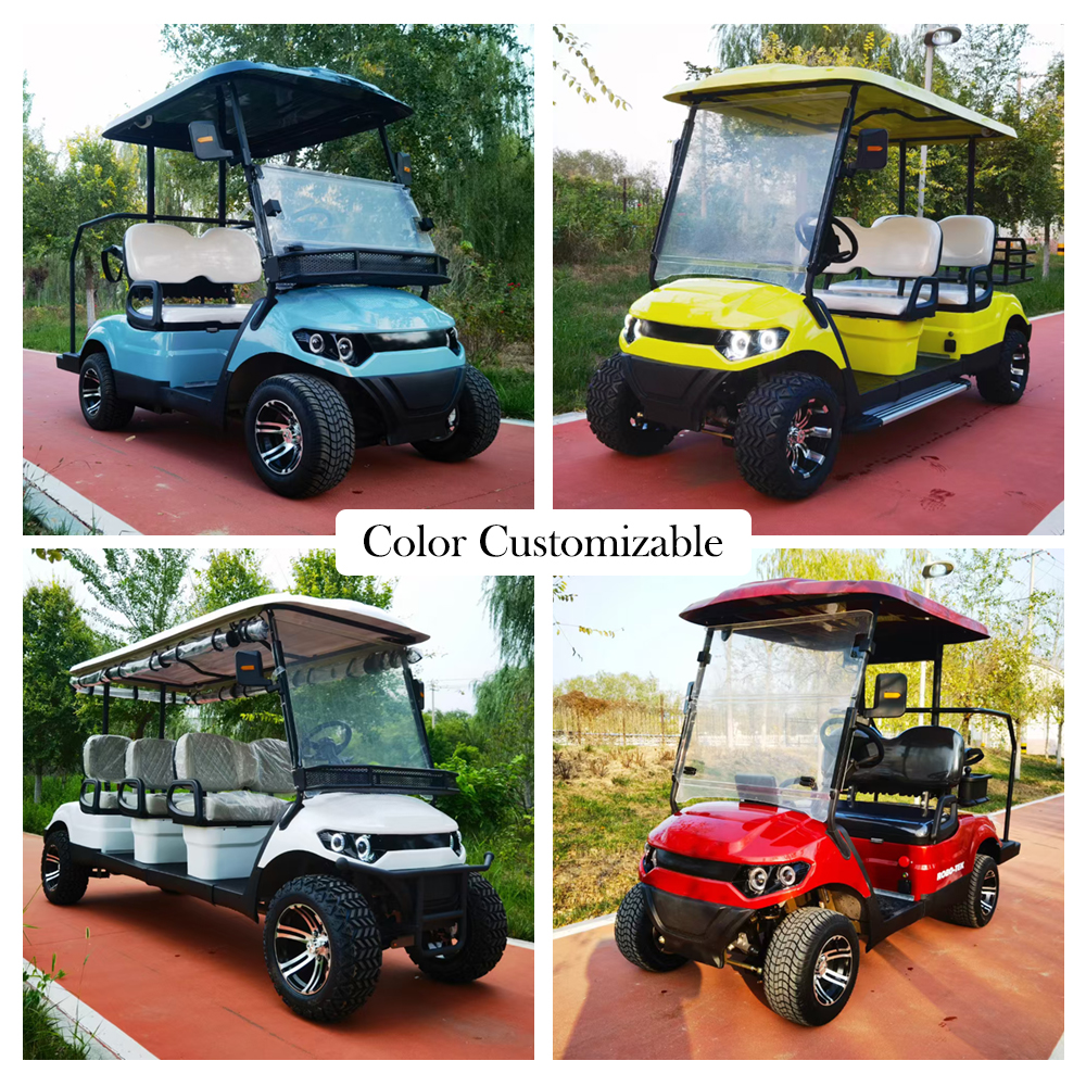SEEWORLD Electric Golf Cart Cargo Box 2 Seater 3.5KW AC Motor 60V 100A Lead Acid Battery 30-50km/h Speed 70-90km Range CE