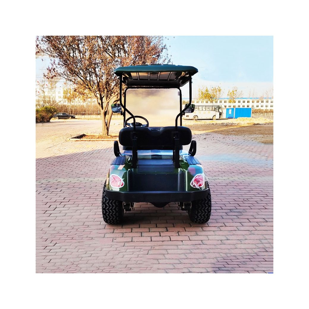 New Design Two-Seater Mini Passenger Golf Cart with Sunshade 70-90km Range CE Certified