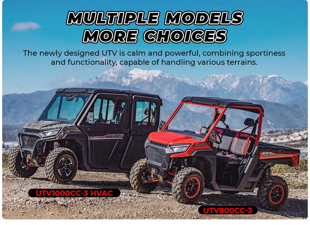 Adults 800cc 1000cc 4 Seater Farm Sport UTV Utility Vehicle
