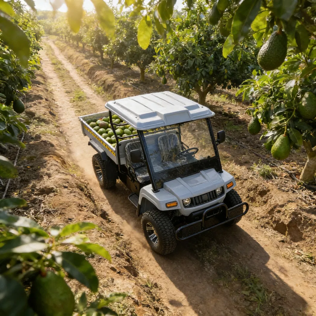 2 Seater Battery Powered 4 Wheel Utility UTV Vehicle