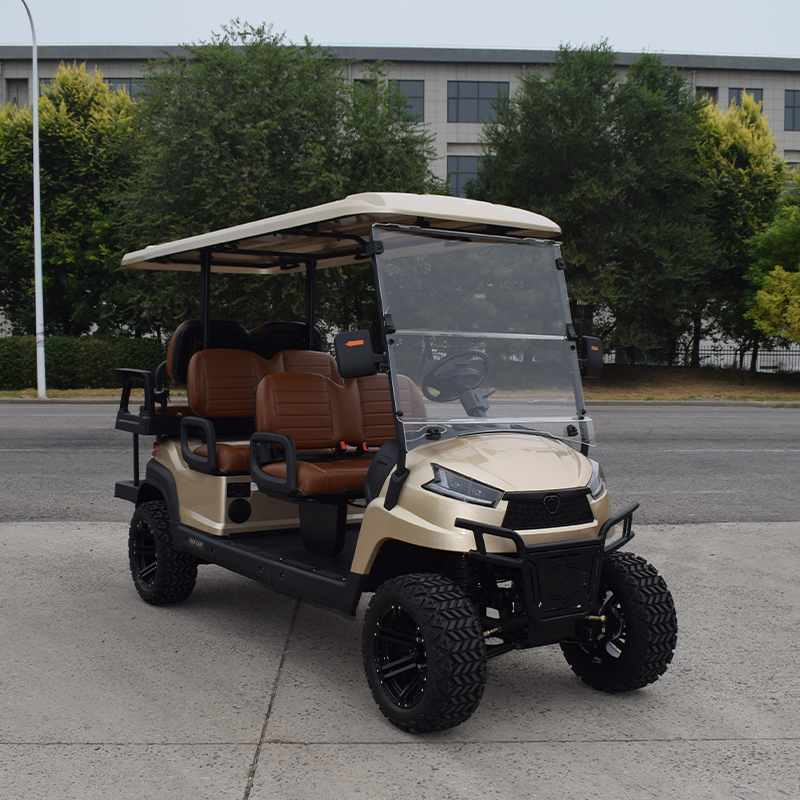 Electric Golf Cart