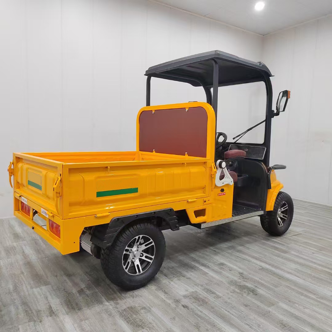 2024 New 3000W Electric Cargo Tricycle 4 Wheel Electric Golf Cart Scooter With Basket