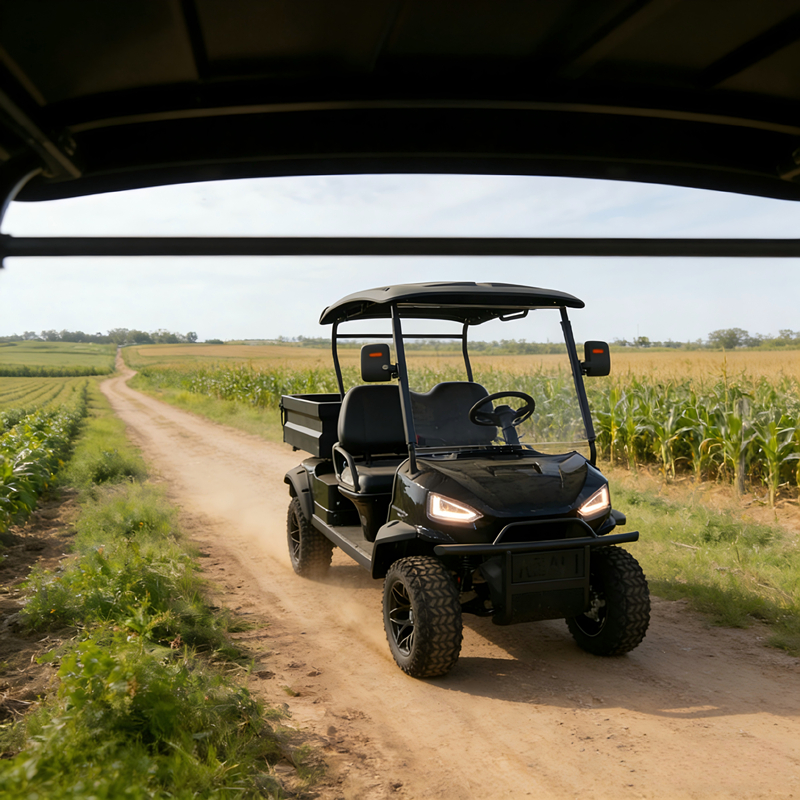 Farm-specific 2 Seater Electric Golf Cart with Cargo Bucket 48V Battery