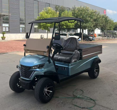 Sharefer 2 Passengers Buggy Utility Vehicle for Sale With Price Cargo Box Trolley Electric Golf Carts