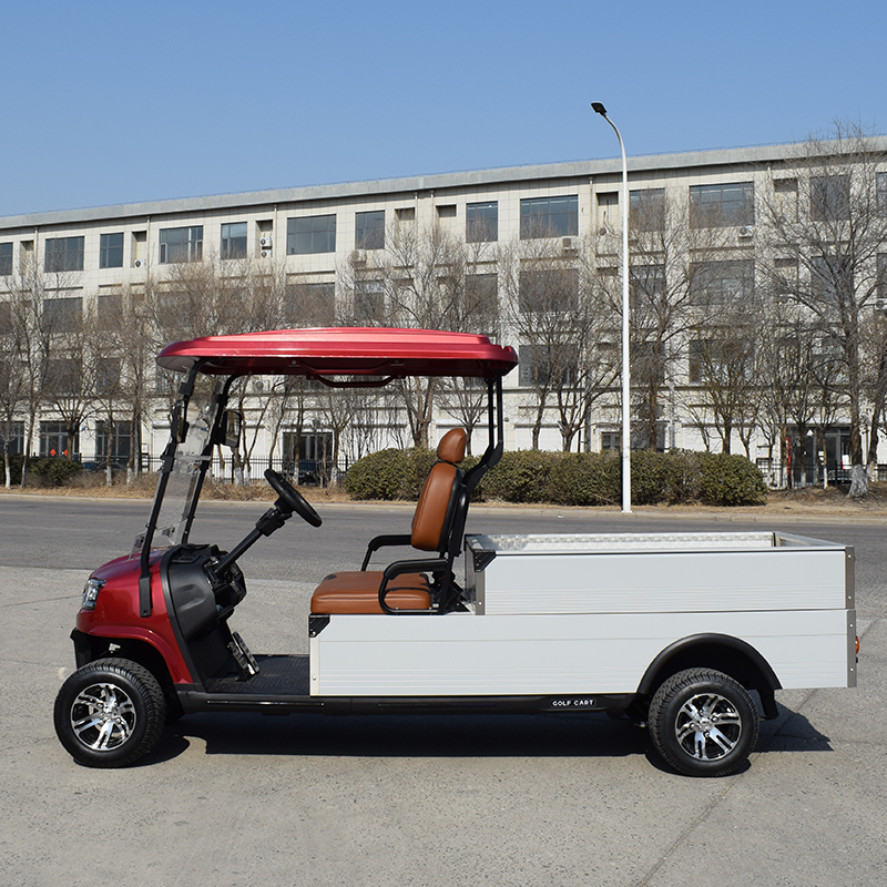 New Arrival Lifted Buggy for Sale Utility Vehicle Mini Truck With Cargo Box 48V Electric Golf Cart