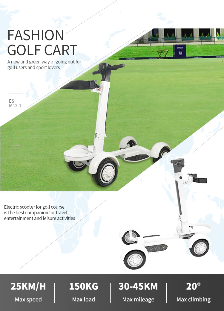 Electric Golf Scooter