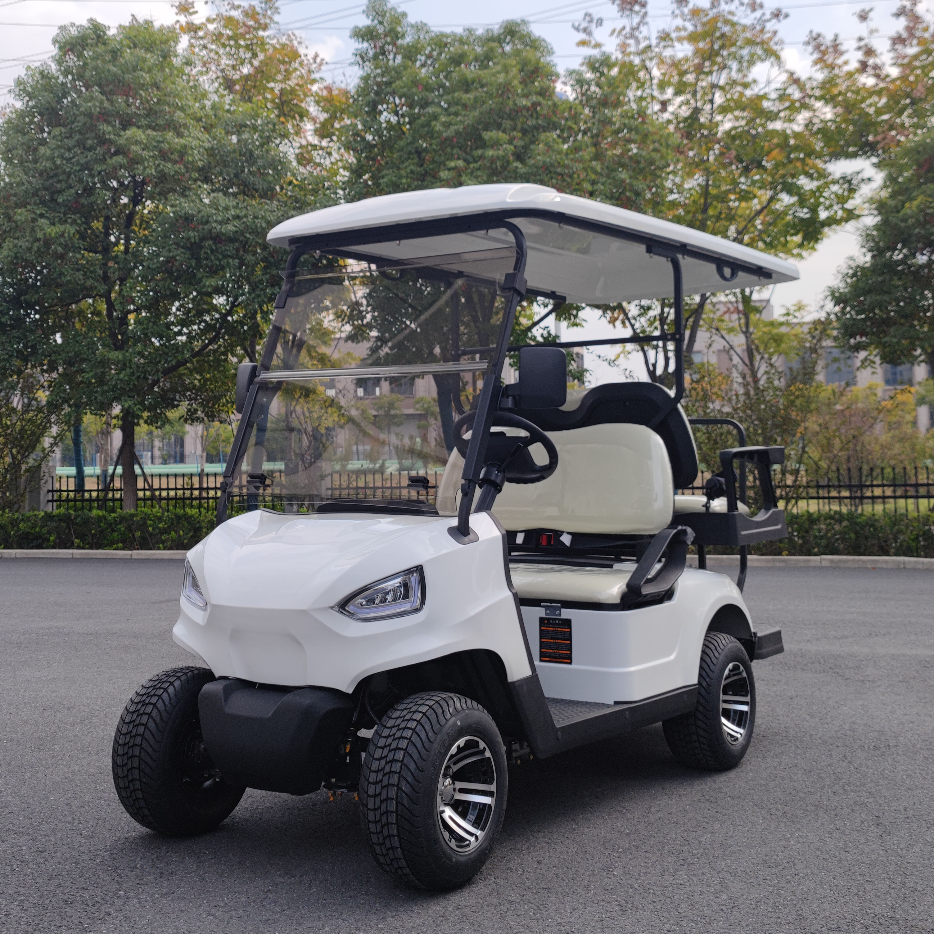 Electric Golf Cart