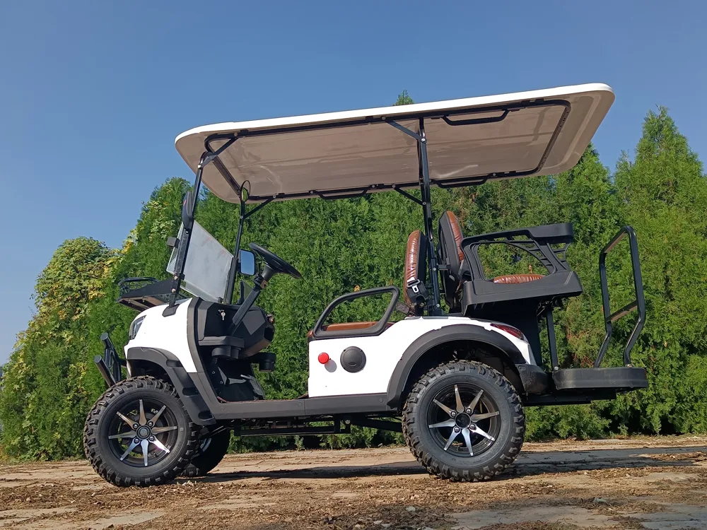 Electric Golf Cart View 5
