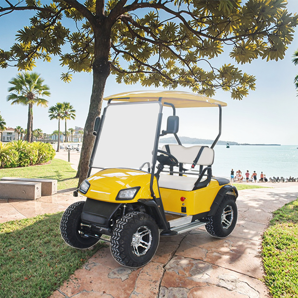 Manufacturer Wholesale Promotional Good Quality Prices 2 Seater Golf Cart Hot Selling Electric Golf Cart Meet the Demand