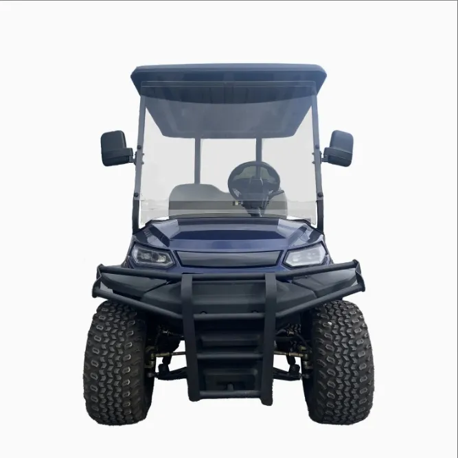 Luxury 6-Seater Electric Car Design Electric Golf Cart with CE Certified