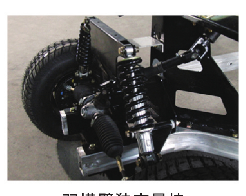 Customized Electric Golf Cart Option 2