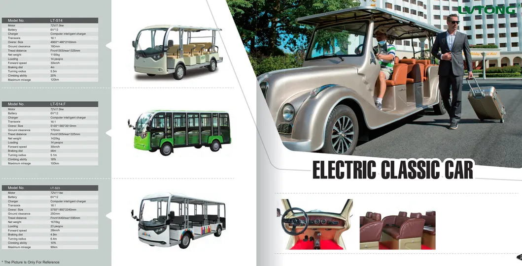 Other Electric Vehicles