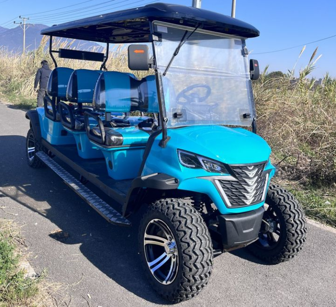 Cheap Luxury 6 Seater Low Speed Vehicle 4 Wheel Drive Push Electric Street Legal Golf Cart for Sale