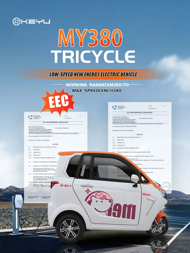 Authentic 60V 3 Wheeled Electric Vehicle for Family