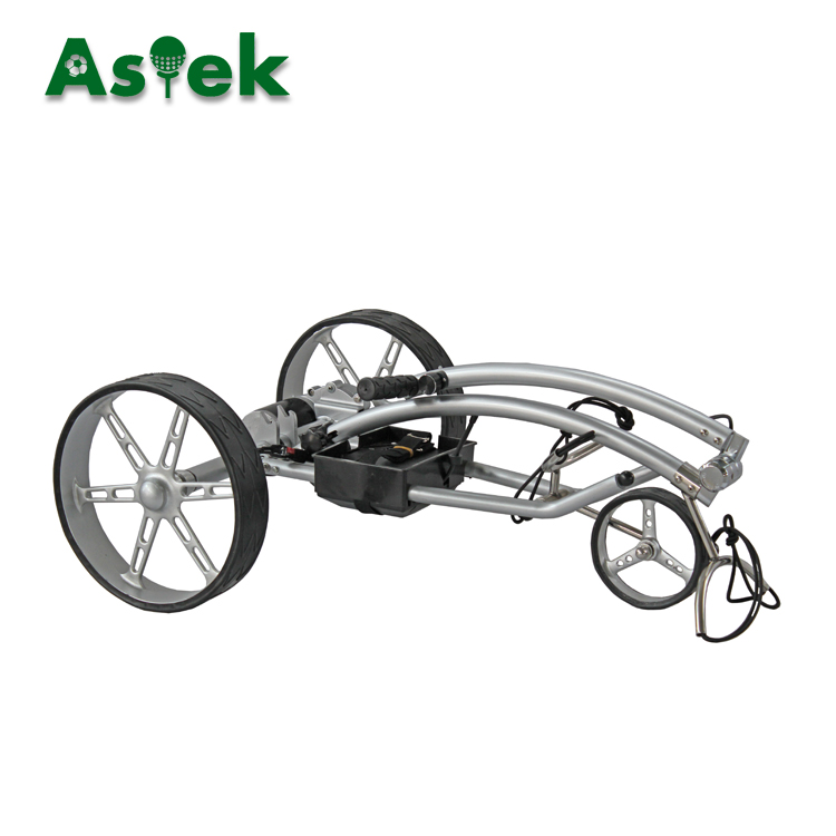 Used Aluminum Electric Custom Golf Carts for Sale