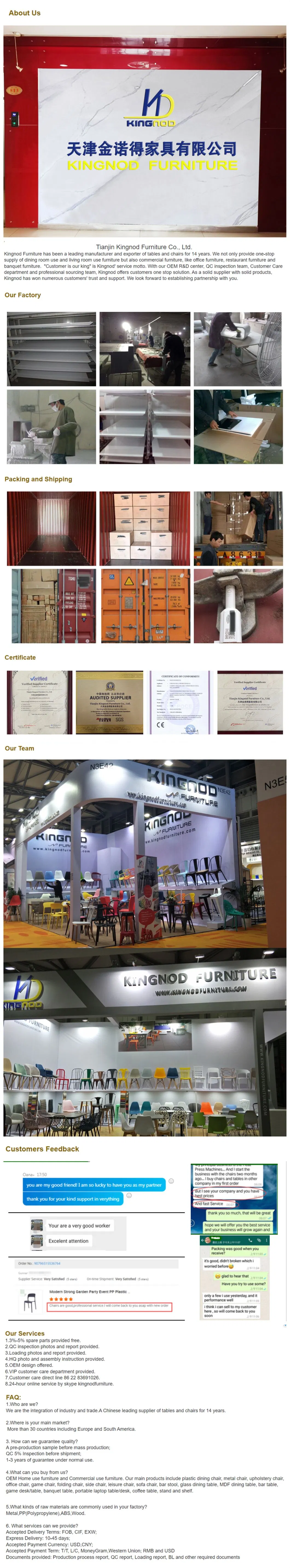 Infográfico de Detalhes do Produto