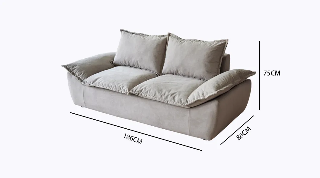 Small Apartment Sofa