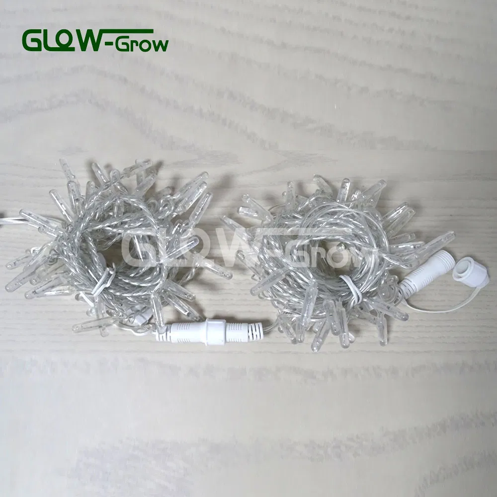 Fio de LED de Natal em Branco Quente CE RoHS PVC para Decoração de Férias ao Ar Livre no Pátio