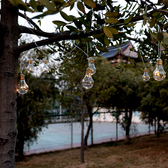 Corda de Luz LED Transparente para Jardim ao Ar Livre à Prova d'Água com CE RoHS