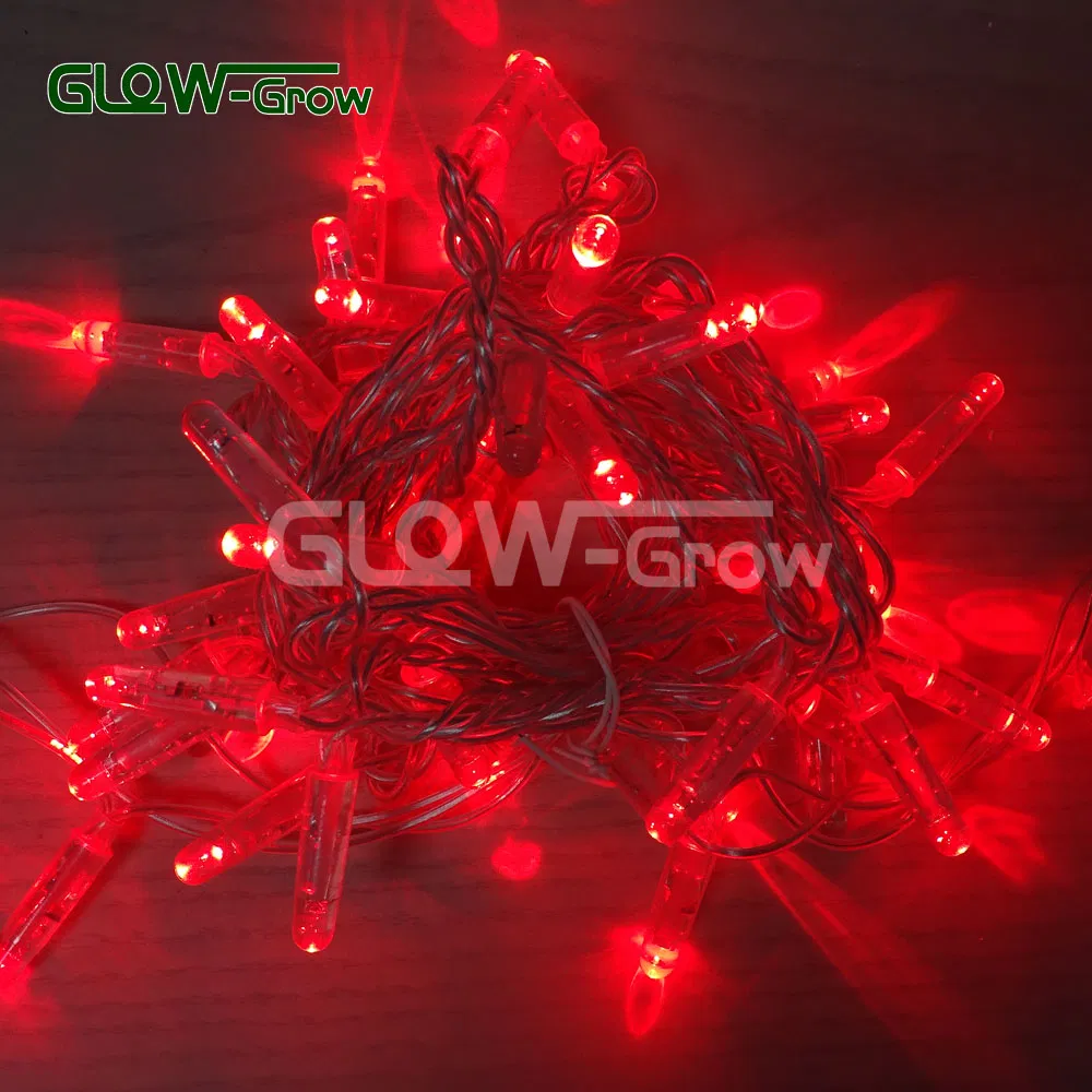 Fio de LED de Natal em Branco Quente CE RoHS PVC para Decoração de Férias ao Ar Livre no Pátio