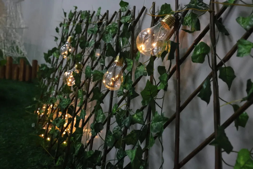 Corda de Luz LED Transparente para Jardim ao Ar Livre à Prova d'Água com CE RoHS