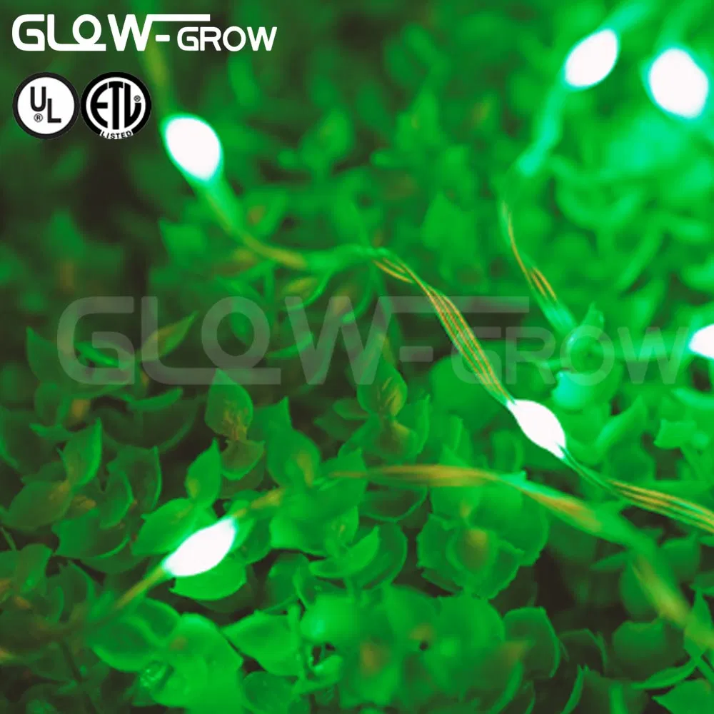 Iluminação de Festa LED de Natal ETL Listado 5V com Fio de Cobre, Alimentada por Bateria e Interface USB