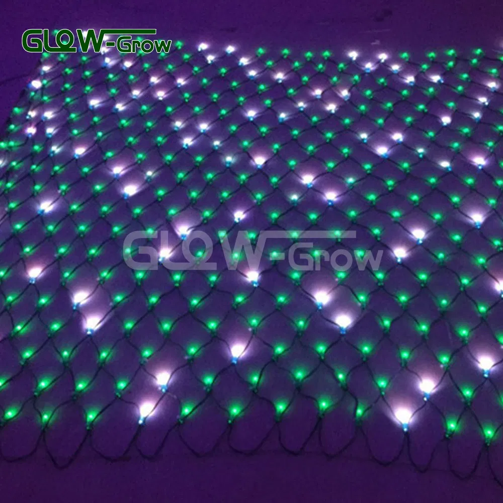 Luz de Fada LED Branca Quente Conectável com Efeito de Piscar para Decoração de Árvore de Natal