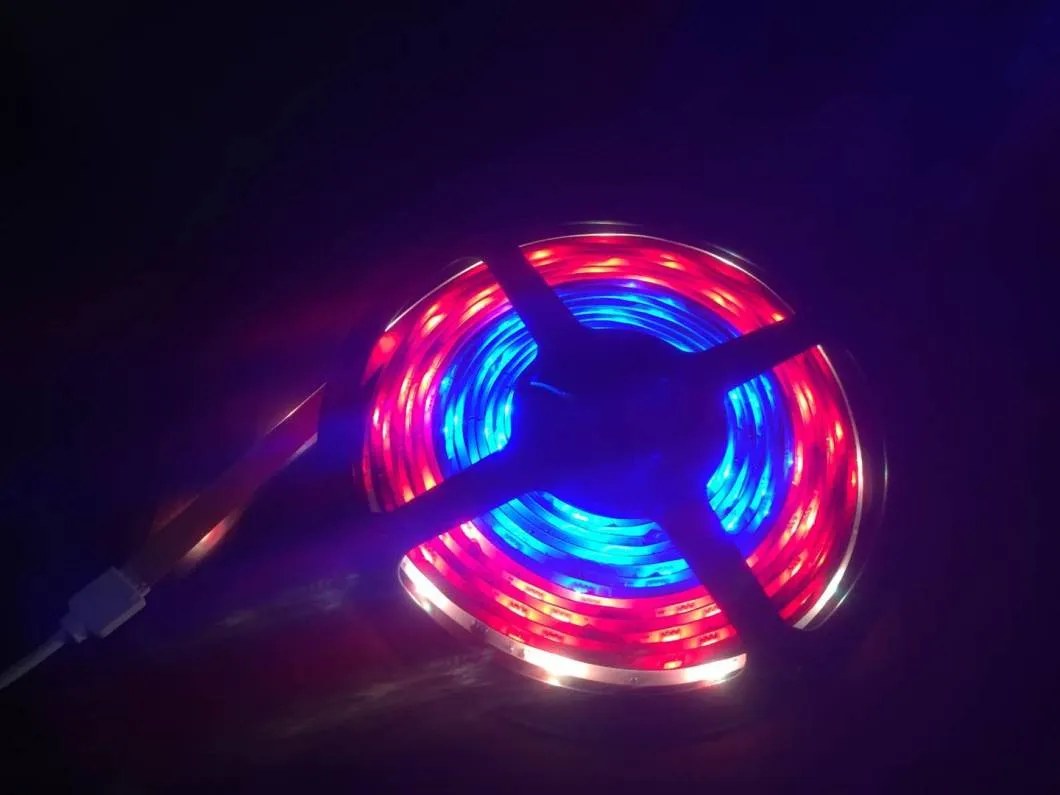 Detalhe Fita LED 1