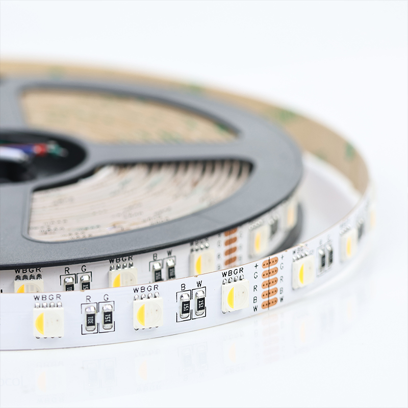OEM ODM Alta Brilho 12 24V Flexível SMD 5050 RGBW Fita LED Dimerizável RGB Múltiplas Cores + Capacidade Branca 60LEDs 19W/M