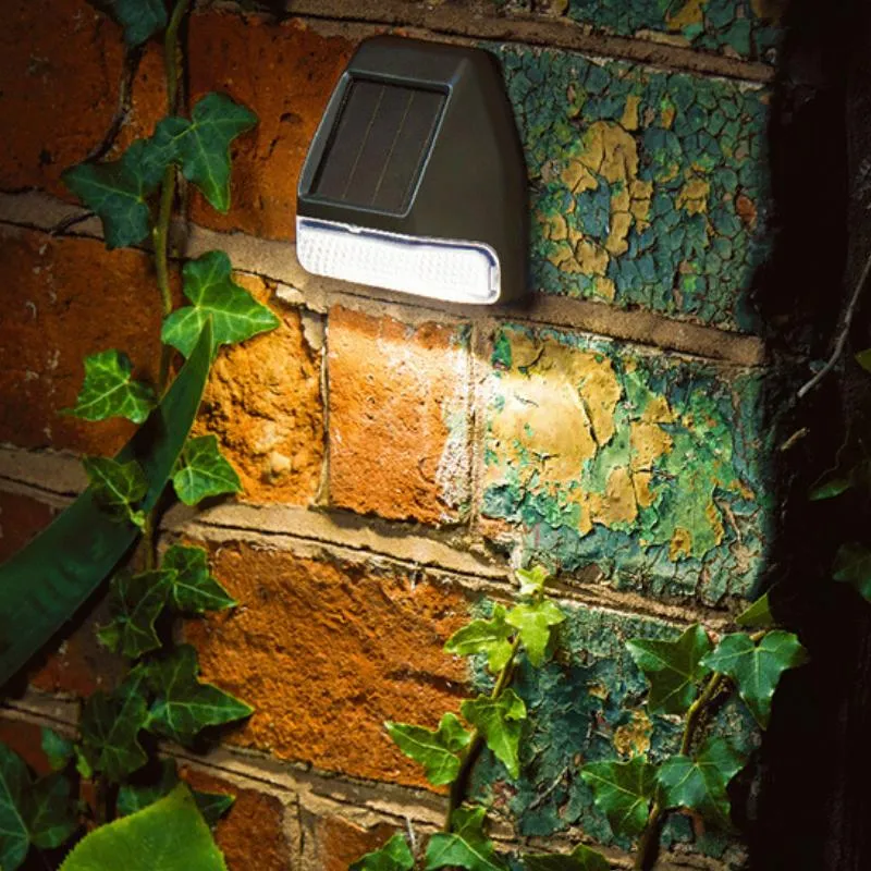 Luz de Cerca Solar Instalação