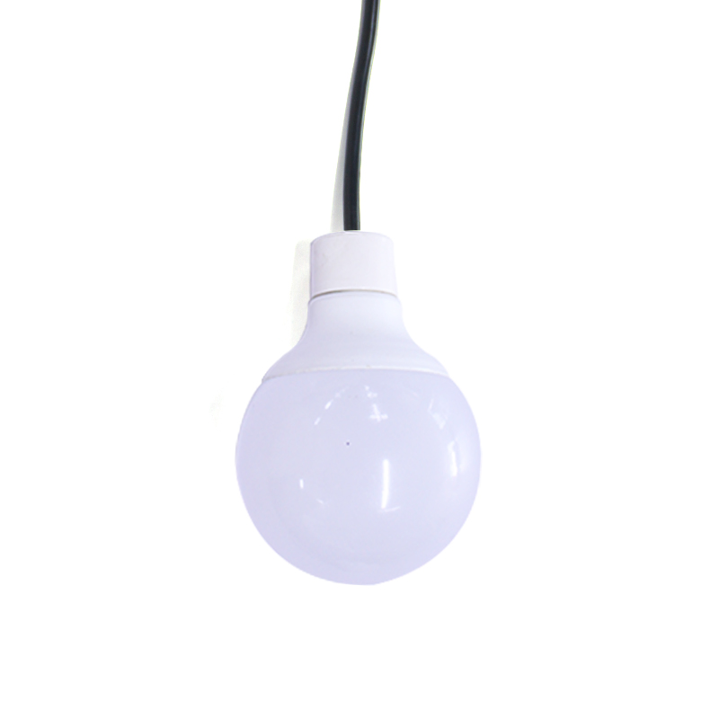 Corda de Luz de Fada com Lâmpadas LED Multicoloridas e Branco Quente