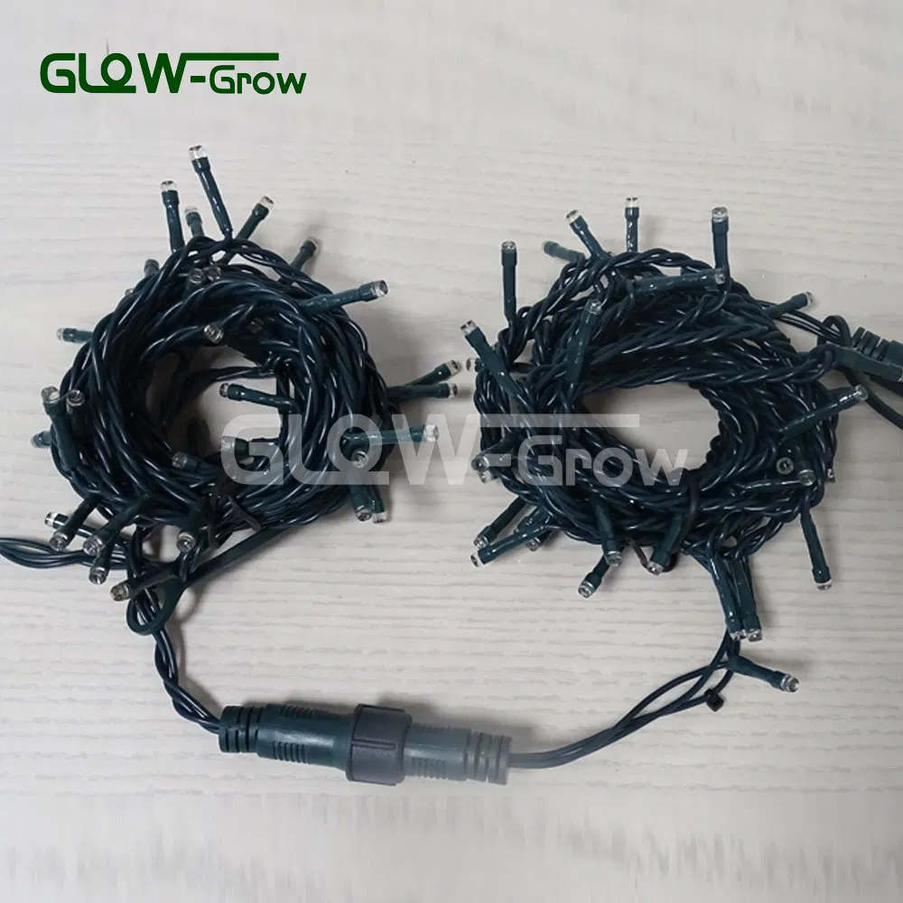 Luz de Fada LED Branca Quente com Fios Transparentes para Decoração de Natal Country para Casa, Jardim, Festa e Casamento