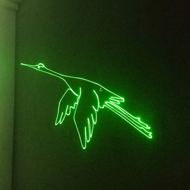 (LY-1001Z) CE RoHS 1W Luz Laser de Animação RGB em Cores Completas