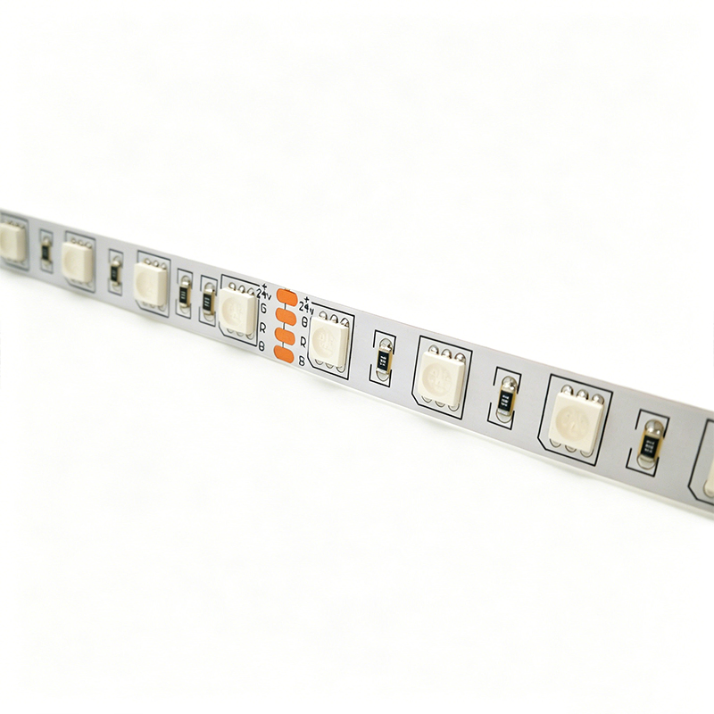 24V SMD5050 Fita LED RGB IP68 Fita Flexível à Prova d'Água Certificada CE para Decoração de Casa e Exterior