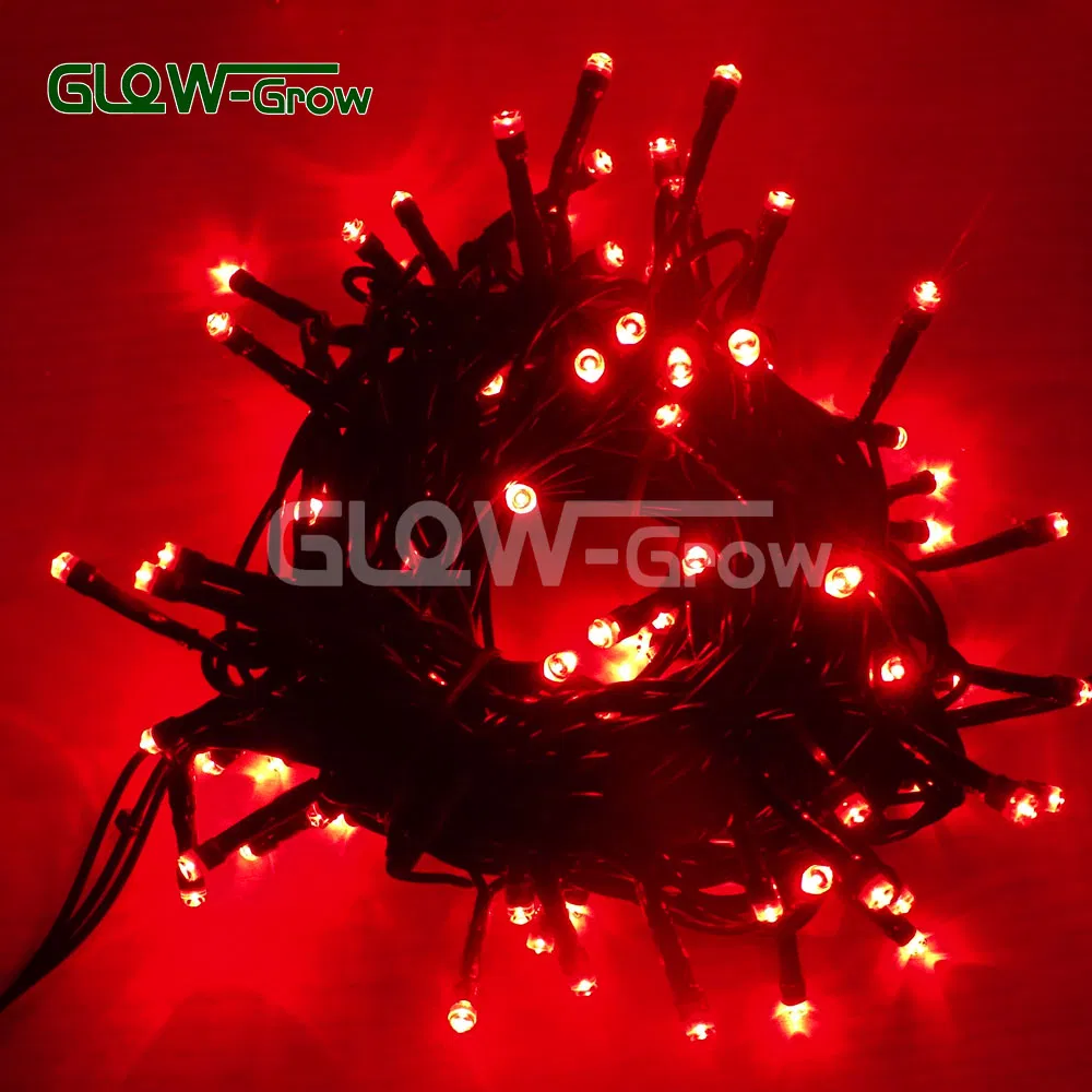 Luz de Fada em Cordão de LEDs Quentes Brancos para Eventos ao Ar Livre IP65 10m 80 Decoração para Festa em Casa, Ramadan, Natal, Casamento