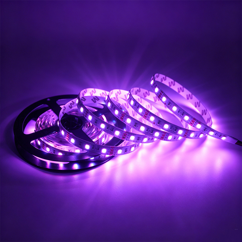 12V SMD5050 Fita LED RGB IP67 Fita Flexível à Prova d'Água com Mudança de Cor para Decoração de Interiores em Casa