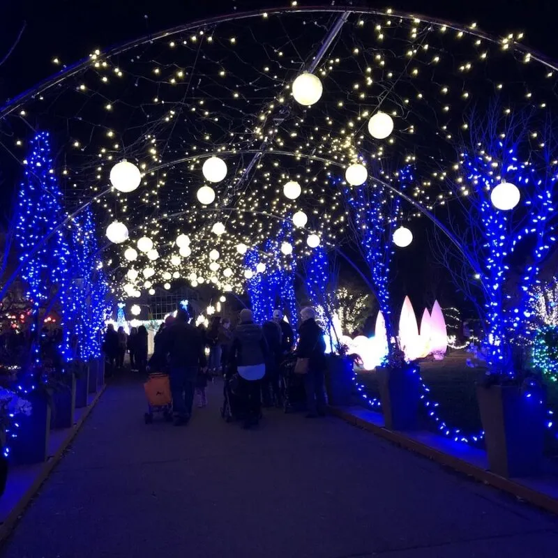 Aplicação em Parque exterior