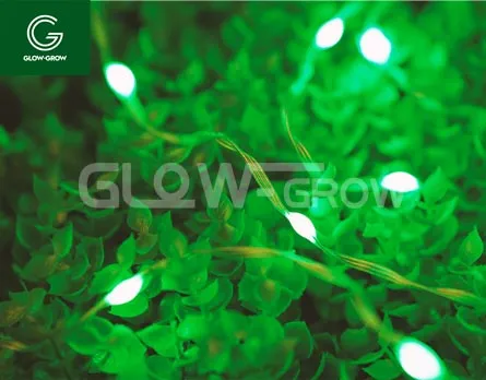 Iluminação de Festa LED de Natal ETL Listado 5V com Fio de Cobre, Alimentada por Bateria e Interface USB