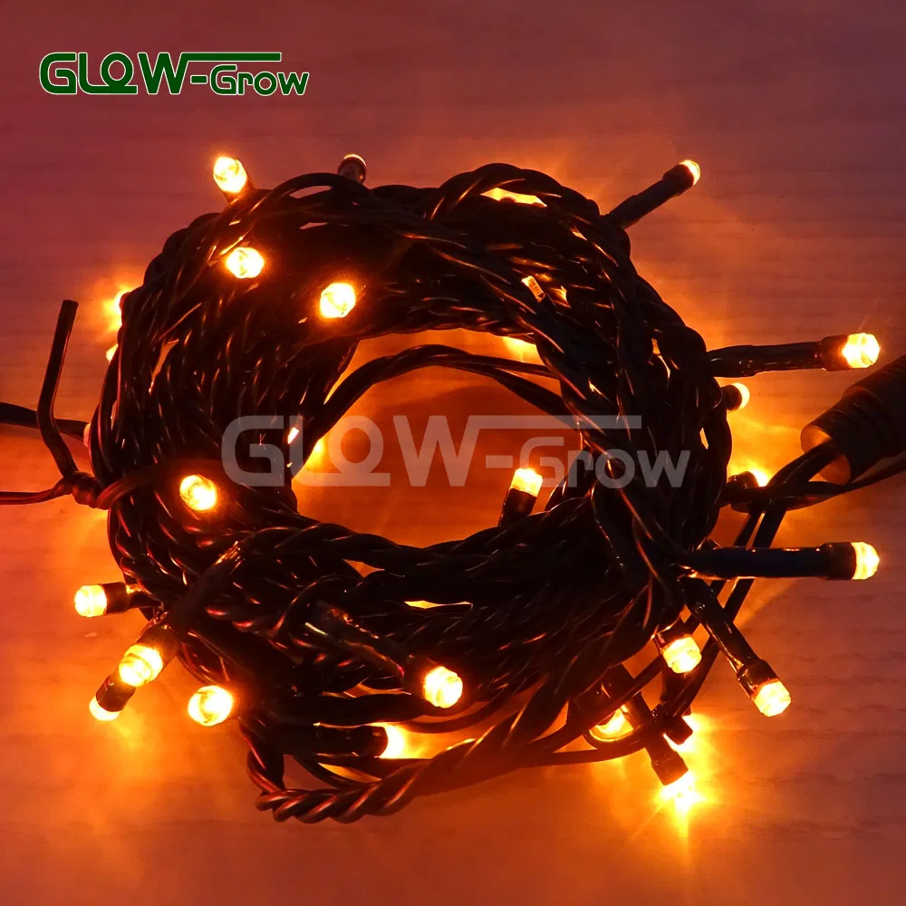 Luz de Fada LED Branca Quente com Fios Transparentes para Decoração de Natal Country para Casa, Jardim, Festa e Casamento