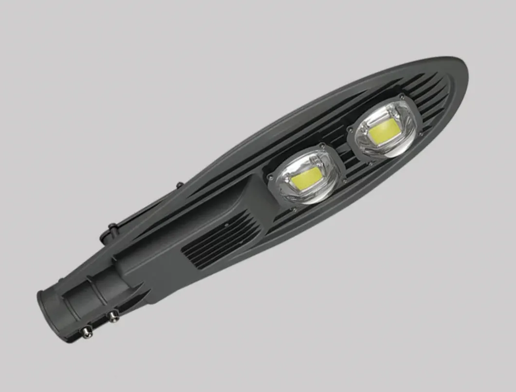 Luz Solar 100W