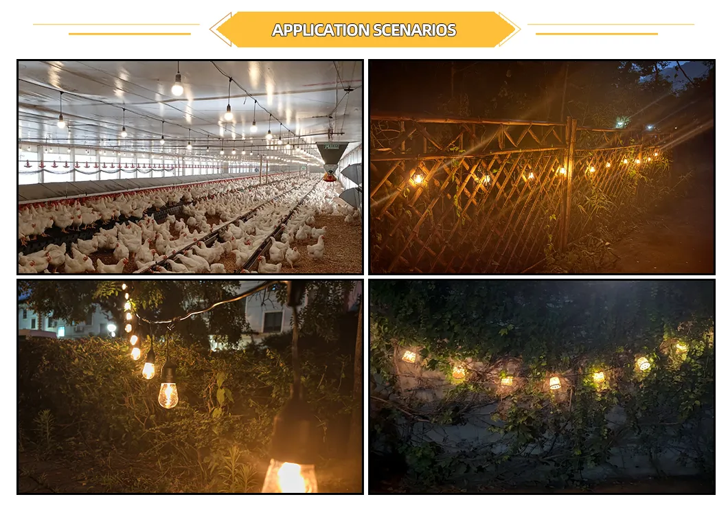 Decoração de Pátio com Luzes de Cortina