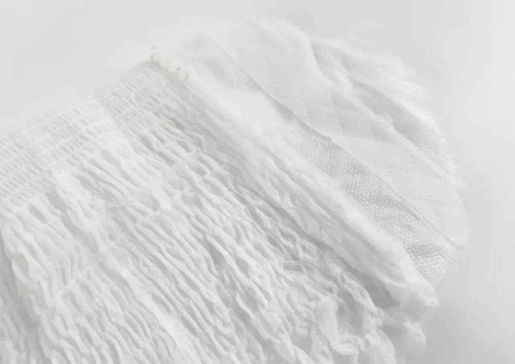 Núcleo de absorción