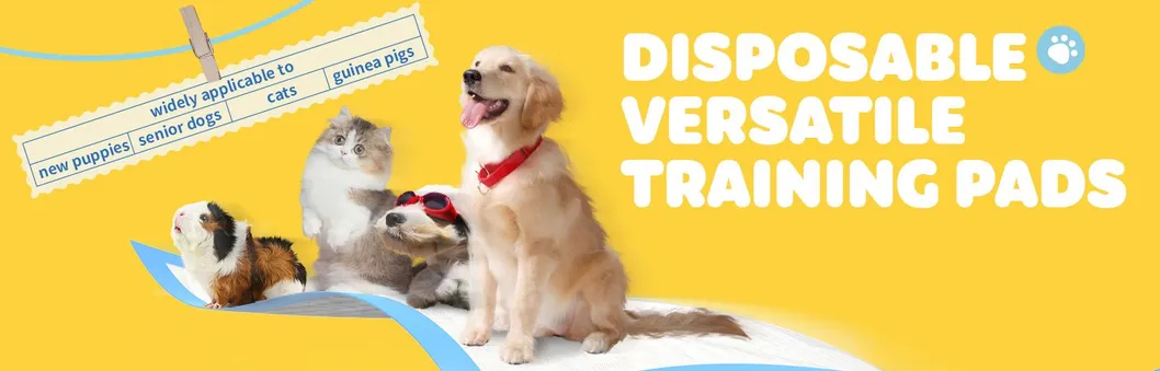 Almohadilla desechable super absorbente al por mayor para mascotas