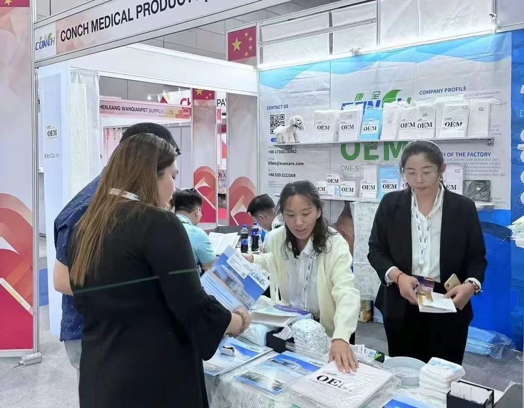 Exhibición 6