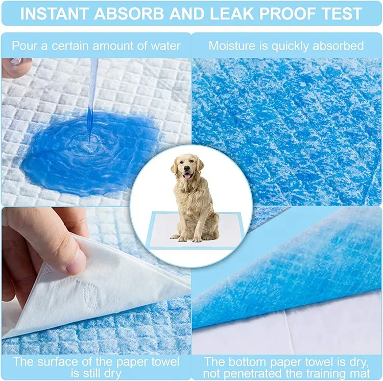 Pañal desechable para perros