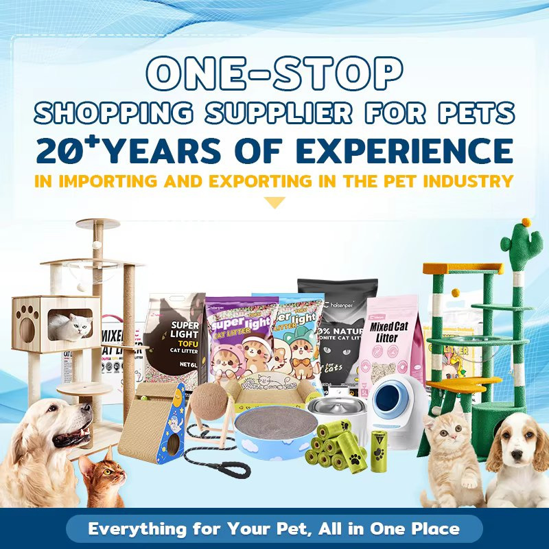 Pañales para perros absorbentes, control de olores, fácil limpieza, multifuncionales para entrenamiento