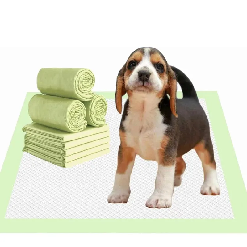 6 Capas a Prueba de Fugas para Perros Cachorros Entrenamiento Desechables Almohadillas de Orina